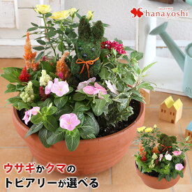 【マラソン×エントリー5倍】【寄せ植え】お花畑みたい トピアリーの寄せ植え お誕生日 お花 プレゼント 女性 祖母 義母 新築祝い 引っ越し祝い 友人 ギフト 開業祝い 開店祝い フラワーギフト 鉢植え 花 結婚祝い アニマル モスドール 鉢花 お母さん おかあさん 義母