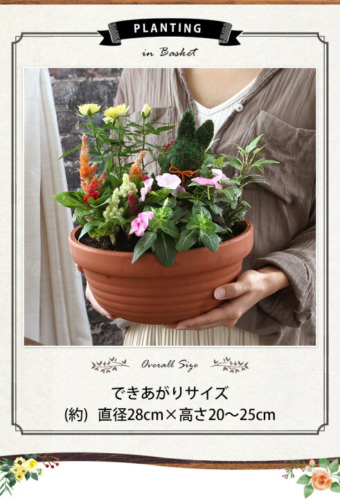 輸入 寄せ植え お花畑みたい トピアリーの寄せ植え 鉢植え プレゼント お祝い 花 誕生日 ご自宅用 開店祝い 新築祝い 引っ越し祝い 5月1日 5月10日お届け不可 Zurique Com Br 輸入 寄せ植え お花畑みたい トピアリーの寄せ植え 鉢植え プレゼント お祝い 花 誕生日 ご自宅用 開店祝い 新築祝い 引っ越し祝い 5月1日 5月10日お届け不可 Zurique Com Br