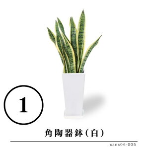 TZxA 6ƑIׂ锫 @lj Ă₷ p   rO CeAO[  Mtg v[g Yn   a j Vzj JXj j V 