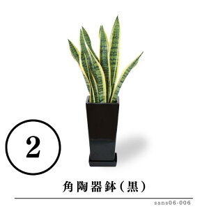 TZxA 6ƑIׂ锫 @lj Ă₷ p   rO CeAO[  Mtg v[g Yn   a j Vzj JXj j V 