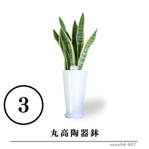 TZxA 6ƑIׂ锫 @lj Ă₷ p   rO CeAO[  Mtg v[g Yn   a j Vzj JXj j V 