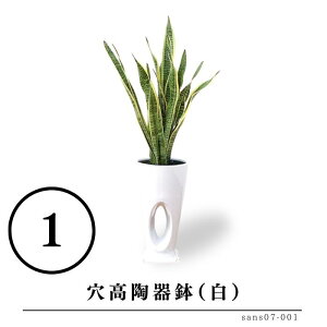 TZxA 7ƑIׂ锫   rO CeAO[  Mtg v[gYn   a j Vzj lCT e@ JXj V l炵 V