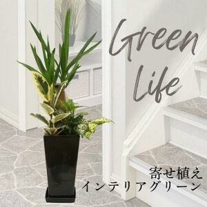 ϗtA 񂹐A hZi }bTQAi/bJ Iׂ锫fUC6 u 픫CeA JXj JƏj ސEj މ@j zj Vzj j TvCY   