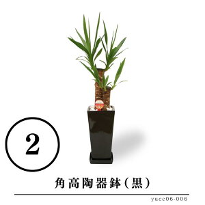 bJ@N̖ 6ƑIׂ锫   rO CeAO[  Mtg v[g Yn   a j Vzj JXj lCT e@ V l