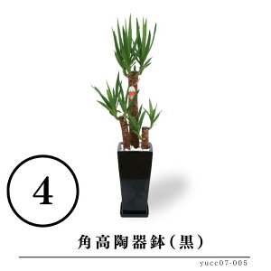 bJ@N̖ 7ƑIׂ锫   rO CeAO[  Mtg v[g Yn   a j Vzj JXj V l炵 V  oYj 