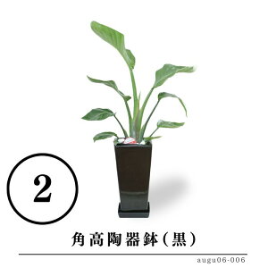 Xg`AEI[KX^ 6ƑIׂ锫 Ă₷ @lj   rO CeAO[  Mtg v[g Yn   a j Vzj JXj e@ 