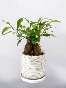 ϗtA KW} (K̖) 5   픫 Ȕ @lj  蕨 CeA 蕨 j Vzj JXj J J J@ ړ] V rO Q 