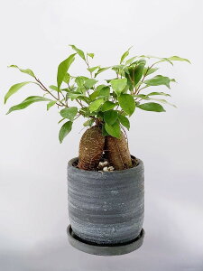 ϗtA KW} (K̖) 5   픫 Ȕ @lj  蕨 CeA 蕨 j Vzj JXj J J J@ ړ] V rO Q 