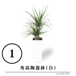 hZiERVl 6ƑIׂ锫   rO CeAO[  Mtg v[g Yn   a j Vzj JXj V l炵 V  oY