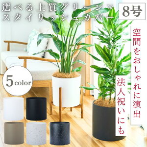 X^htJo[ 8 IׂϗtA ȔJo[ Aؔ ^ lC CeA  Mtg ItBX ze GgX EW rO X Ə Mtg 蕨  