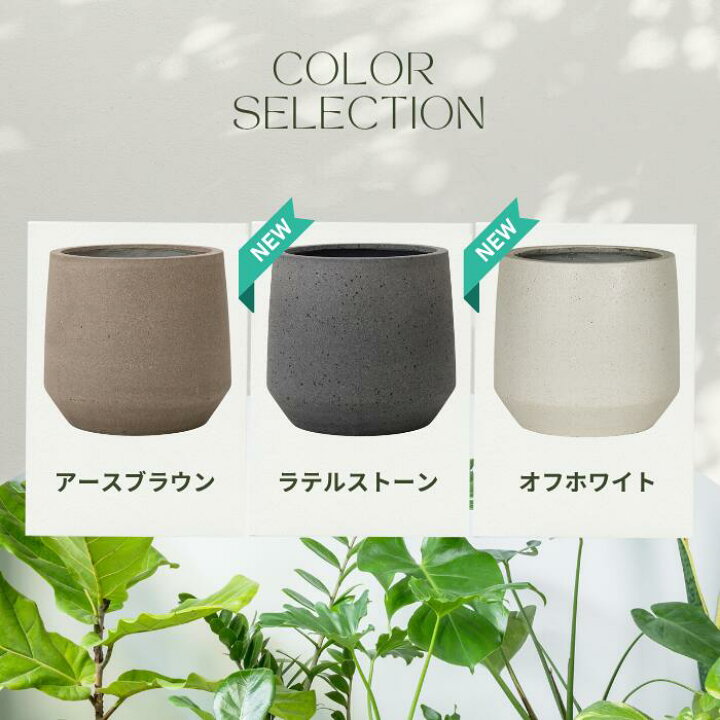 楽天市場】【鉢カバー】ファイバーセメントプランター 8号 パボ ミドル 