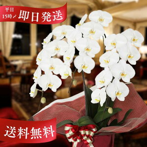 @lj Ӓ 3{27 i Yn ʐ^zM   ^ bsO Mtg j     蕨 a JXj J J@ ړ] ސE AC 呍 