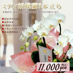 ~fBӒ 3{ A}rX i Yn  ʐ^zM  bsO Mtg j  蕨 a JXj J J@ J ړ] AC i I   ސE 