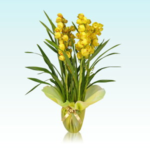 VrW[ CG[n 5{iVrWE mj