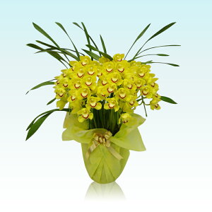 VrW[ CG[n 5{A[`iVrWE mj