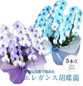 ̃{[I GKX Ӓ 5{u[orp[viorj\񏤕i i ʐ^zM bsO Mtg j   蕨 a JXj J J@ ړ] 