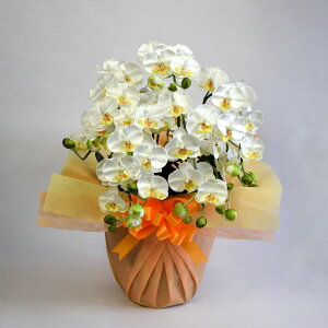 yԁzG}Ӓ ~fB5{ ԐFʐ^zM  bsO Mtg j   蕨 a JXj J J@ ړ] AC i N I  җ  䋟 ܏j