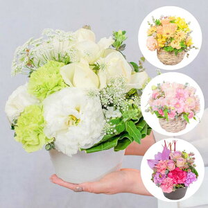 J[IׂG߂̂CAWg MTCY 26cm Mtg ԑ v[g JXj JƏj Vzj zj ACj ސEj މ@j j Əj TvCY  ċx