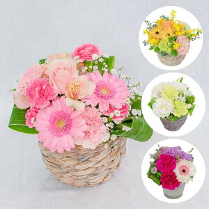 J[IׂG߂̂CAWg STCY 23cm Mtg ԑ v[g JXj JƏj Vzj zj ACj ސEj މ@j j Əj TvCY  ċx