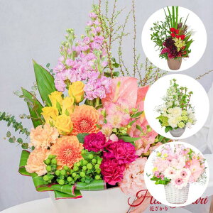 J[IׂG߂̂CAWg LLTCY 60cm Mtg 蕨 CeA JXj JƏj ACj ސEj މ@j zj Vzj j TvCY    