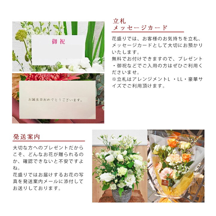 楽天市場 季節のお任せアレンジメント ミックス Lサイズ プラスチック鉢 45cm 法人ギフト 開業祝い 開店祝い 公演祝い 周年祝い 就任祝い 昇格祝い 退職祝い 還暦祝い 引っ越し祝い 新築祝い 誕生日 記念日 結婚祝い 結婚記念日 サプライズ 退院祝い 総選挙 当選 楽天市場 季節のお任せアレンジメント ミックス Lサイズ プラスチック鉢 45cm 法人ギフト 開業祝い 開店祝い 公演祝い 周年祝い 就任祝い 昇格祝い 退職祝い 還暦祝い 引っ越し祝い 新築祝い 誕生日 記念日 結婚祝い 結婚記念日 サプライズ 退院祝い 総選挙 当選