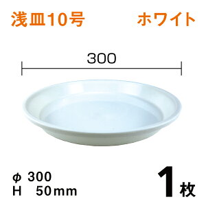 M10yzCgzy1z@a30×5cm@|pMEM