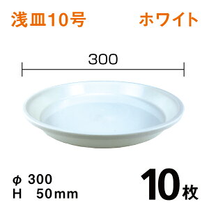 浅皿10号【ホワイト】【10枚】　直径30×高さ5cm