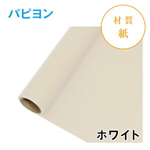 �p�s���� ���b�s���O���@W650×L15m�@���[���@�S14�F