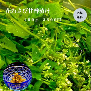 Ԃ킳ъÐ|Ђ@̍@Ђ@l@т̗F@G߂̖@{킳с@B̖@Mtg@{̖@ÉY킳с@Y킳с@@ |Cg10{