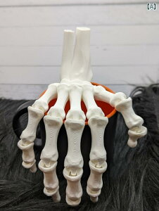 nh XPg jZbNX CeA  nEB u E fR[V   Y fB[X Mtg ֐