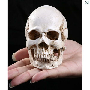 [ u hN Ntg tOX ͌^ i ~j XJ zCg CeA RNV j[N fR[V