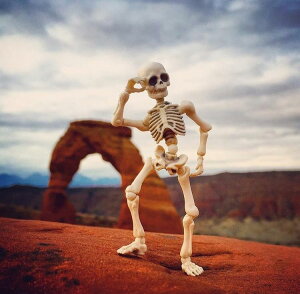 ~j`A XPg hN CeA  tBMA 3Zbg XJ    s CX^f jZbNX