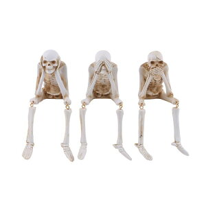 [ XJ nEB CeA   fR[V hN  u I[ig k  RNV