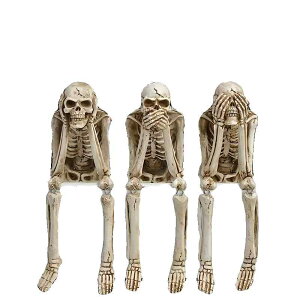 [ XJ nEB CeA   fR[V hN  u I[ig k  RNV fUC XPg