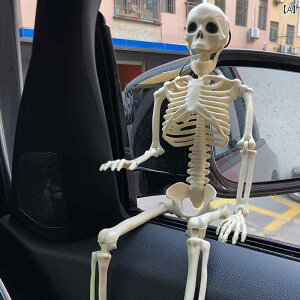 [ XJ nEB CeA   fR[V hN  u I[ig AJ  RNV  