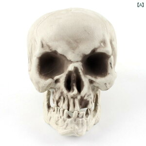 [ hN CeA u nEB I[ig nh XJ vX`bN  fR[V XPg Y fB[X