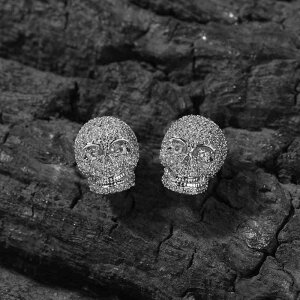 sAX qbvzbv XJ ANZT[ WRjA hN  ۛ WRjA CgXg[ S[Xgwbh Y t@bV X^CbV I N[