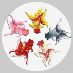 AbvP  hJ GXjbN zpb` `[t by DIYf CN g  C DKv ANZT[ nhCh | ANZg |Cg fUC fR[V