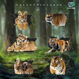  XebJ[  ^CK[ A gbNA[g XebJ[ {fB V[ J[fR[V  IWieB J[ hXAbv gbN ~jo oCN X|[cJ[