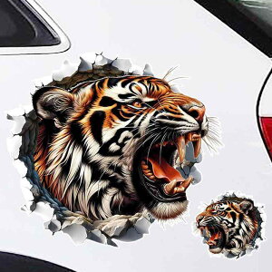  XebJ[  ^CK[ gbNA[g Jo[Abv XebJ[ {fB V[ J[fR[V  IWieB J[ hXAbv gbN ~jo oCN X|[cJ[