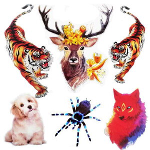  XebJ[  ^CK[ A XebJ[ {fB V[ J[fR[V  IWieB J[ hXAbv gbN ~jo oCN X|[cJ[