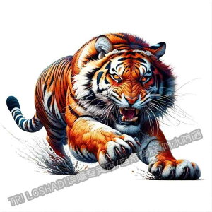  XebJ[  ^CK[ CXg A XebJ[ {fB V[ J[fR[V  IWieB J[ hXAbv gbN ~jo oCN X|[cJ[