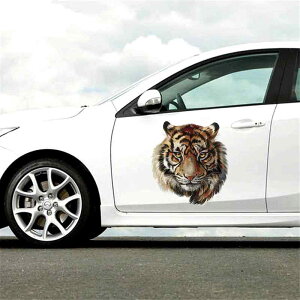  XebJ[  ^CK[ CXg Jo[Abv XebJ[ {fB V[ J[fR[V  IWieB J[ hXAbv gbN ~jo oCN X|[cJ[