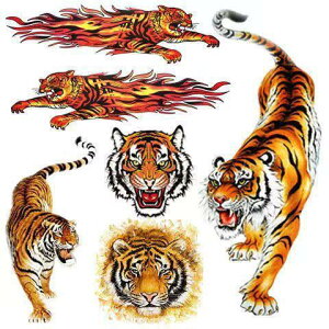  XebJ[  ^CK[ A CXg XebJ[ {fB V[ J[fR[V  IWieB J[ hXAbv gbN ~jo oCN X|[cJ[