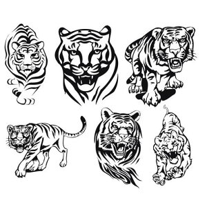  XebJ[  ^CK[ CXg XebJ[ {fB V[ J[fR[V  IWieB J[ hXAbv gbN ~jo oCN X|[cJ[