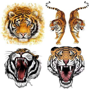  XebJ[ ^CK[  A CXg XebJ[ {fB V[ J[fR[V  IWieB J[ hXAbv gbN ~jo oCN X|[cJ[