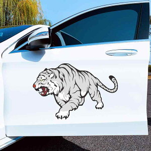  XebJ[  ^CK[ CXg Jo[Abv XebJ[ {fB V[ J[fR[V  IWieB J[ hXAbv gbN ~jo oCN X|[cJ[