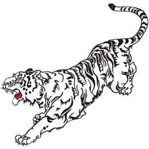   XebJ[ ^CK[ n敗 G  XebJ[ {fBXebJ[ J[fR[V  IWieB J[ hXAbv gbN ~jo oCN X|[cJ[