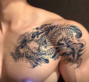 hS ^gD[V[ XebJ[  V_[  Y ʐ {fBA[g  h iv 