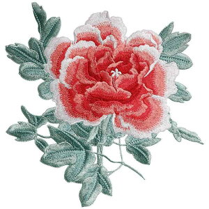 AbvP O 傫 hJ zpb` by `[t DIYf C GXjbN  ANZT[ DKv nhCh | hXAbv CN GKg ߗޏCU